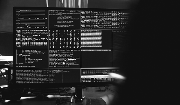 Computer screen of an ethical hacker from Securing Society while doing an security audit